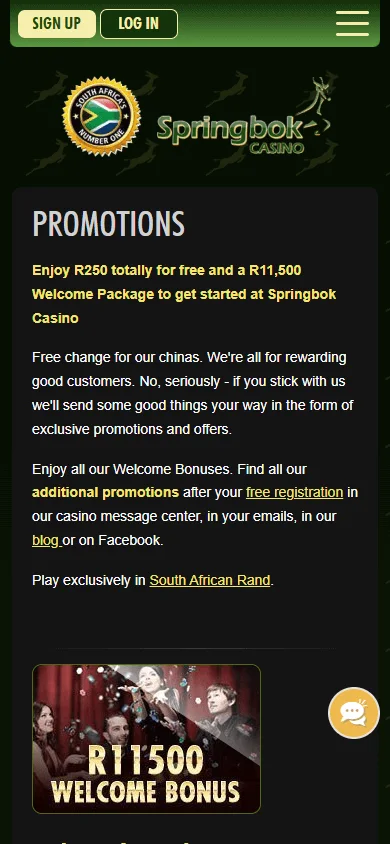 Springbok Casino mobile promotions interface
